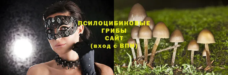 Псилоцибиновые грибы Magic Shrooms  omg ONION  Туймазы 